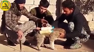 Video: ISIS ties bomb to puppy to target Iraqi militia forces in Mosul