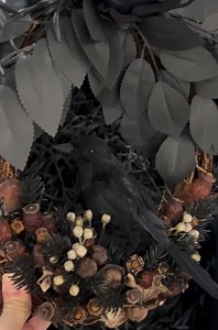 Black Rose Raven Wreath: Feathered Crow, Dried Nut Halloween Decor - Etsy Canada