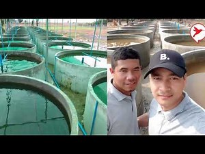 ពលករកូរ៉េម្នាក់ បង្កើតកសិដ្ឋានចិញ្ចឹមត្រីបែបថ្មី ចំណាយដីតិច តែអាចចិញ្ចឹមបានច្រើនទ្វេដង