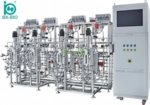 [Hot Item] Bx-Bio Big Scale Microorganism Culture Bacteria Cell Culture Bioreactor