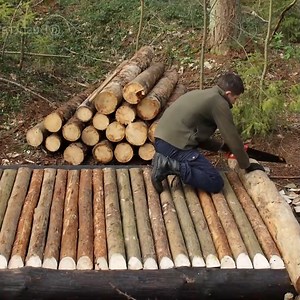 Building a Log Shelter in the Atmospheric Forest. Springtime Bushcraft. | Tiny Home Decor