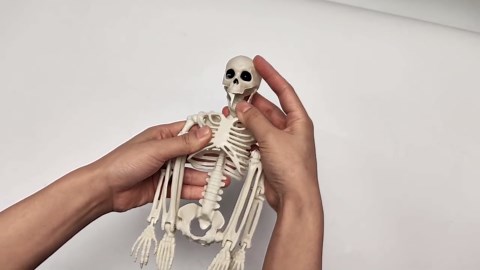 6Pcs Halloween Skeleton Decorations, 16 Inches Full Body Mini Posable Skeletons with Movable Joints for Haunted House Halloween Decorations Party Decor Indoor and Outdoor