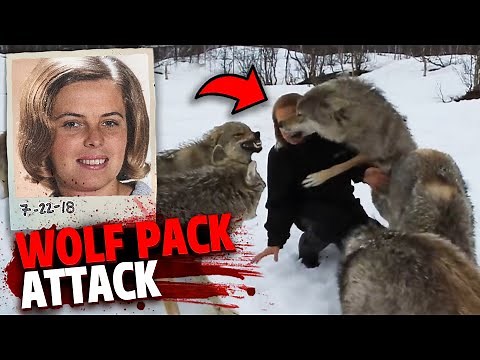The HORRIFYING Last Minutes of Patricia Wyman Fatally Mauled By PACK of Wolves!