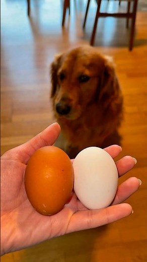 Making McGuffin from Teen Titans Go! | Cartoon Food Challenge 🍳🥪 #shorts #teentitansgo #sandwich