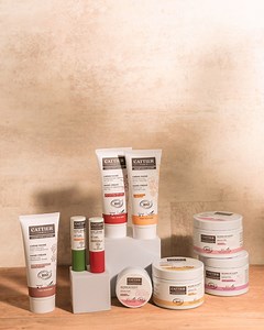 Les essentiels de l’hiver Cattier ? Toujours à portée de main 🫡🤝 Le froid s’installe, c’est le moment de chouchouter sa peau avec nos soins riches en actifs naturels et nourrissants : 🤝 Nos Crèmes mains sèches hydratantes, ultra-nourrissantes et réparatrices ou encore anti-taches pour préserver les extrémités du dessèchement, des agressions extérieures et atténuer les signes de l’âge. 🤭 Nos Soins lèvres nourrissants et anti-âge pour nourrir les lèvres tout en leur apportant confort et fermet