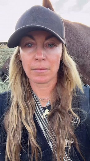 Thank you, TRULY! For the positive comments. For the support. For the shares. AND even for the negative ones because at the end of the day, it means people are watching. It means these horses are being seen. This industry is filled with so much darkness, but awareness is how we start to change it. The truth might make people uncomfortable — and that’s okay. The more people talk about it, the more lives we can save. Kindness and awareness will always shine brighter than hate. At the end of the da