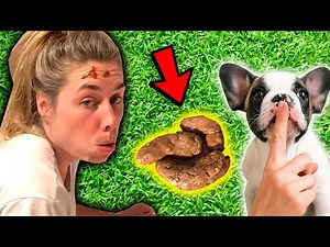 Fake Poo Prank!! 💩😂