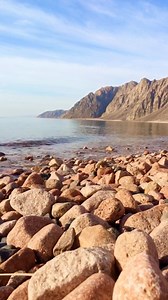 14 reactions · 3 comments | Sunrise in Dahab  | EGYPT CAMP | Facebook