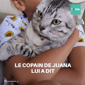 7.4K views · 230 reactions | Cette femme n'a jamais aimé les chats, mais elle a été surprise par ce beau chaton qui se comporte comme un chien. | Social | Facebook