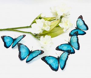 3D Blue Butterfly Decals (set of 5): Vegan Wall Art, Wedding Favors - Etsy
