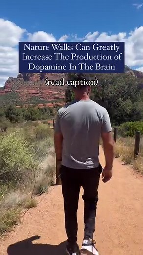 5.3K views | Nature walks can greatly increase the production of...