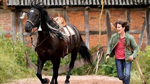 Windstorm 5 - Uniti per sempre, cast e trama film - Super Guida TV