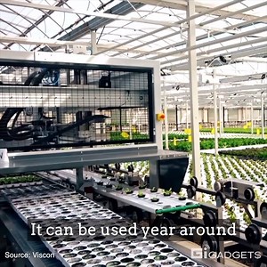 Fully Automated Hydroponics Farm. | GIGadgets