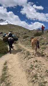 156 reactions | #Indianhimalaya , a paradise for adventure seekers. Our homeland where we curate experiences that can truly last a lifetime. Join us in summer 2025. . . #exploration #himalayaindia #travelwithhippieinhills #adventure #trekking #ladakh #markhavalley #kangyatse #ladakhimalaya #outdoors #horselove #trekwithhippieinhills #teamhippieinhills #hippieinhills | Hippie in Hills | Facebook