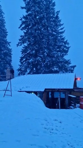 ❄️18:33 Ninge iar! #snowfall #ongoing #PoianaBrasov #March24 #winterishere Cabana SKV Postavarul credits: FAST LINE | Poiana Brasov