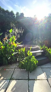 Tour at The Farm The Farm Lake Cafe #pantaiacheh This is well hidden farm-cum-cafe back in the Penang island #malaysia . About 20 minutes drive from the famous Balik Pulau town, you will arrive at this paradise. Nestled by the hills, and tropical forest 🌳 the Farm cafe is just the perfect place to escape from the bustling life out there.Not only do there serve good foods like pasta, chicken chop, fish & chips and amazing hot beverages, their HIGHLIGHTS are their free roaming animals ala safari 