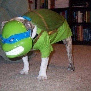 SadLeonardo - Twitch