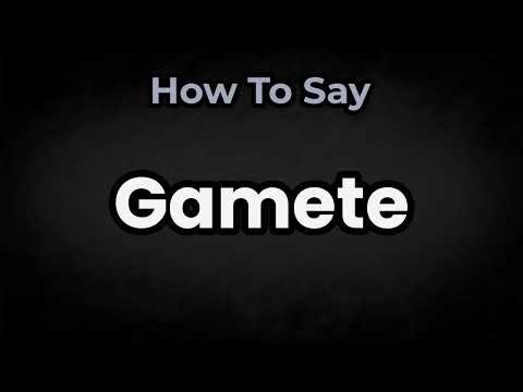 How To Pronounce Gamete? (CORRECTLY) Meaning & Pronunciation