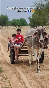Village life🌾🧿❤️ #shortsfeed #love #villagelife #villagelifestyle #farmer #desi #shorts #viral