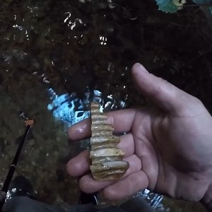 12K views · 515 reactions | Deep in the woods there is a small spring and it was filled with old relics and broken pottery! #exploring #relichunting #treasurehunting | Exploring with the Nug | Facebook