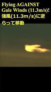 Giant "Firebird" UFO Over Tokyo! Flies AGAINST Gale-Force Winds. Recorded by SID-1 #UAP #UFO #Shorts