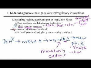 Population Genetics: Generating Genetic Variation