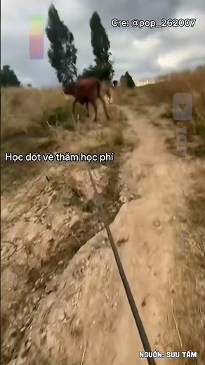 Học dốt về thăm học phí - Top 1 Khám Phá