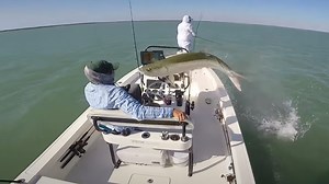 VIDEO: Tarpon Fisherman Comes Face To Face With His Quarry