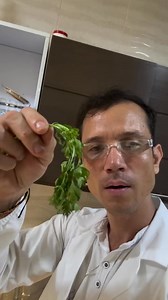 Cilantro común #natural #parati #medicina | Jorge Ramirez