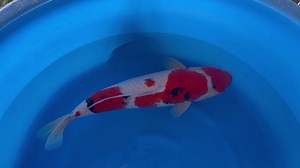 18 reactions | Follow us on Instagram, Facebook and Youtube!...