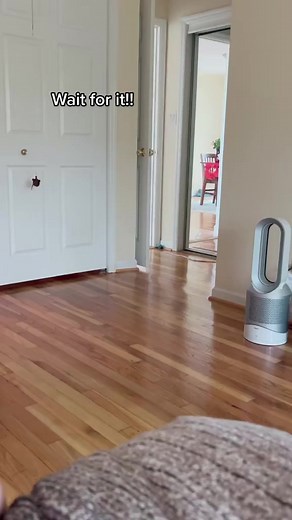 139K views · 3.3K reactions | I may have gone too far... #relationship #couplegoals #surprise #funny | HaileeandKendra | Facebook