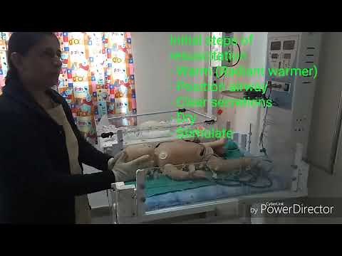 Neonatal Resuscitation | American Heart Association Guidelines 2015 | Pediatrics