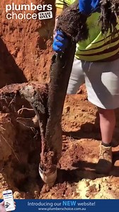 Make sure you have the sound on!! | Plumbers Choice