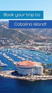 Discover the magic of Catalina Island in the winter months! Pack your bags, embark on the Catalina Flyer, and get ready for a delightful escape filled with holiday spirit, scenic beauty, and the warmth of island hospitality. #catalinaislands #catalinaislandcalifornia #catalinaisland | Catalina Flyer from Newport Beach