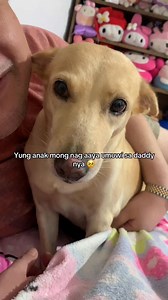 561K views · 50K reactions | Bantayan mo si daddy mo let 凉 mag isa nalang yun dun 殺 #youjarasdogo #youjarasquad | YouJara'Squad | Facebook