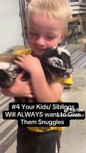 So Yeah, go Get a Goat. #goats #babygoat #dairygoat #freshmilk #homestead #farmlife #farm #goat #babygoats #fyp #milking #rawmilk #animals