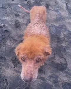 STRAY Love Ph Foundation on Reels