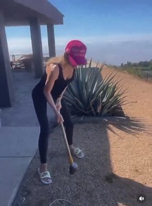 'F*ck You, Amazon!': MAGA Is Mad At Alexa Over Answers On Harris