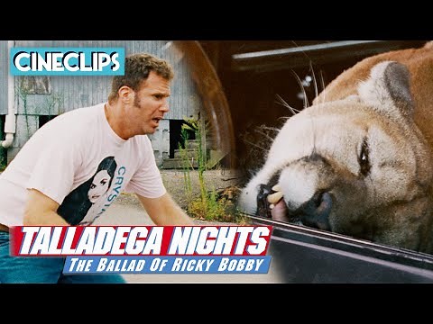 Getting Attacked By A Cougar | Talladega Nights | CineStream