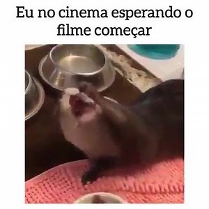 11K views · 177 reactions | Bem assim kkkk | Logo eu | Facebook