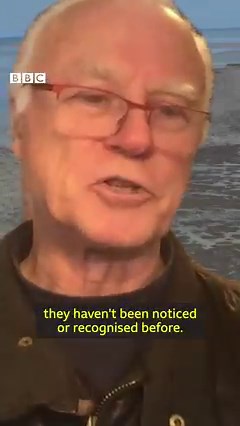 This is how 40 million trees in Australia mysteriously died. https://bbc.in/3w4xxPs | BBC News