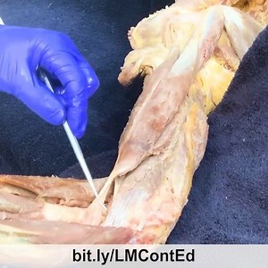 For more info: bit.ly/LMContEd  . Here is the second of three...