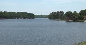 E. coli levels high in part of Lake Monticello