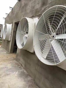 [Hot Item] Exhaust Fan/Ventilation Fan for Poultry Farm/Greenhouse/Industrial Workshop