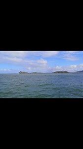 Gower Coast Adventures on Reels | Facebook