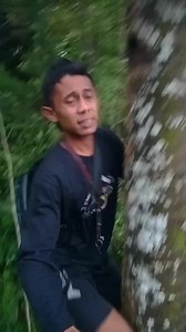 Crita menjadi penderes kelapa/penyadap kelapa #pendereskelapa #pembuatgula #coconattree | Sukirno Kirno