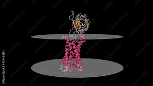 Luteinizing hormone-choriogonadotropin receptor. Animated 3D cartoon model with inner (bottom) and outer (top) cell membranes shown. PDB 7fij, black background.