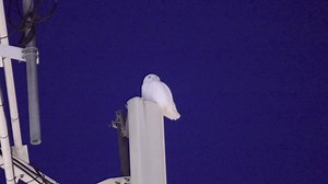 41 reactions · 3 comments | Chris Artist Photography on Reels | Facebook