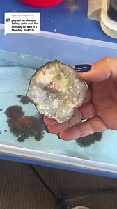 Rainbow #DIY Geode Results! Let’s see how it came out! 🌈 Get your geodes: https://bit.ly/3kmvaod #geode #diy #alcoholink #finalresults #DMC #tiedye | Declan's Mining Co.