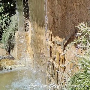 1.1K views · 182 reactions | Garden Idea on Reels | Facebook